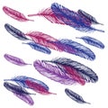 Feather bird drawing ÃâÃ¢âÂ¬attern ÃÂÃÂ°eathers set